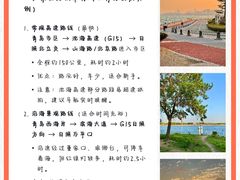 -日照海滨国家森林公园