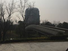 -南翔镇银翔湖公园