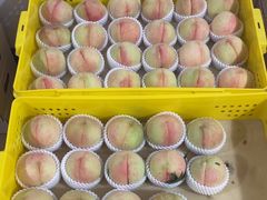 -老袁家蜜桃农场·阳山水蜜桃