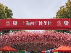 -南汇桃花村