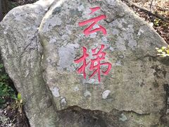 -鲁山国家森林公园