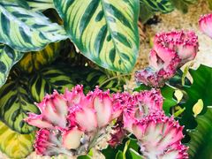 -manabe (共和新路店)