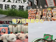 -成都大熊猫繁育研究基地