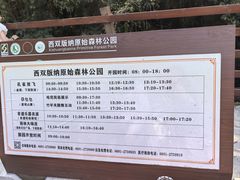 -西双版纳原始森林公园
