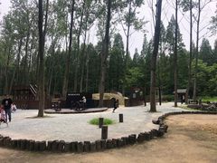 -黄海国家森林公园