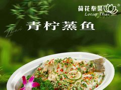 -荷花泰菜(东方新天地店)