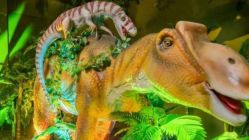 -恐龙探索乐园(磁器口店)