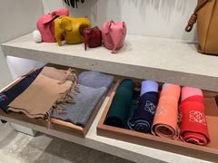 -LOEWE罗意威(北京SKP女装店(一层))