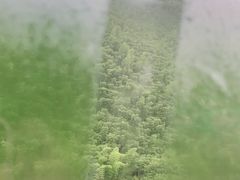 -将军关探险漂流