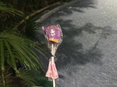 -龙达温泉生态城