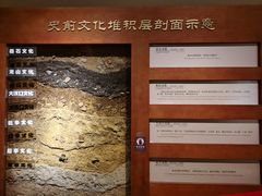 -临沂市博物馆