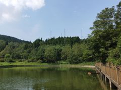 -武陵山森林公园