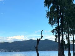 -大理洱海