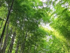 -苏州环秀晓筑养生度假村