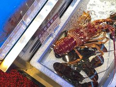 -協成海鮮火鍋(老店)