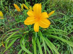 -长春公园(普阳街道)