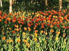 -长春公园(普阳街道)