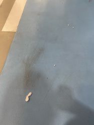 -万达宝贝王(成都锦华店)