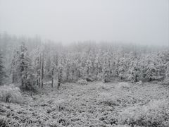 -瓦屋山景区