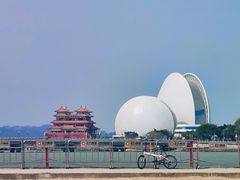 -野狸岛