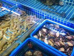 水产区-必点海鲜·鲅鱼水饺(鞍山西道店)