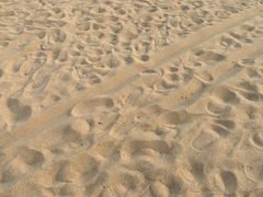 -阳光海岸露营公园