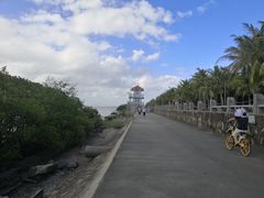 -深圳湾公园(南山区)