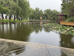 -月亮湾湿地公园