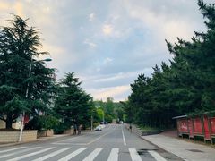 -山东大学(威海校区)