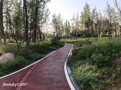 -府河摄影公园