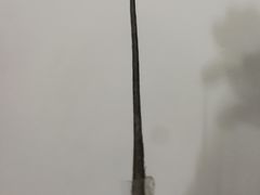 -肯德基(海陵万达店)