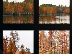 -白鹭湾湿地公园