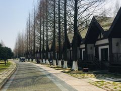 -太阳岛度假酒店