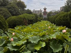 -四川大学(望江校区)