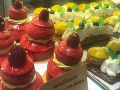 -Madeleine玛德琳(永平里店)