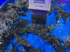 -盒马鲜生(枣园路店)