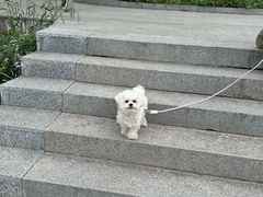 -纳吉亚猫专科动物医院·北北分院