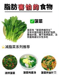-Fundi张玉珊修身堂·indiba·BTL科技瘦身
