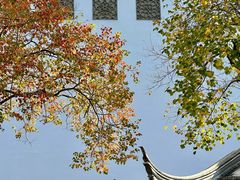 -万达影城(银兴菲林店)