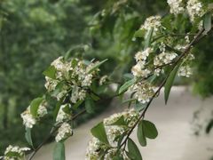 -樱桃山旅游景区