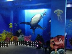 -船奇蒸汽海鲜·闽菜(八市海鲜总店)