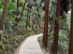-峨眉山报国寺