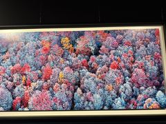 -罗红摄影艺术馆