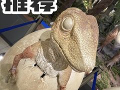 -湖南省地质博物馆