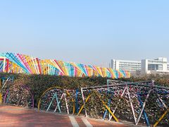 -琴岛之星摩天轮