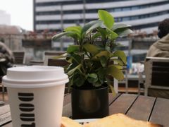 -DOUTOR德咖伦(吴江路店)