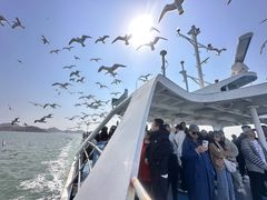 -海驴岛(荣成市)