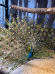 -酷嗒动物文化乐园(cutezoo西溪乐天城店)