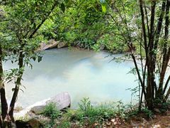 -广州白江湖森林公园