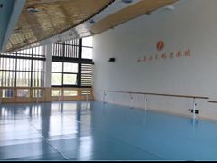 -西安小天鹅艺术团(曲江Alice店)